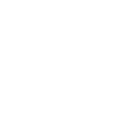 folletto logo